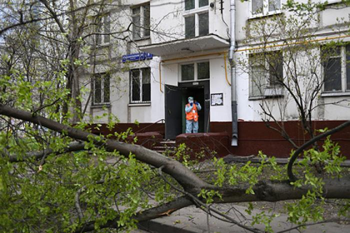 Вирусолог назвал заразные из-за коронавируса предметы в доме