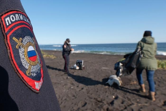 Власти занялись решением проблемы с загрязнением воды на Камчатке