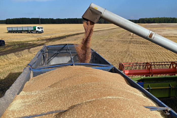 В России соберут второй в новейшей истории урожай зерна