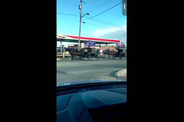 Амиши поехали на каретах голосовать за Трампа и попали на видео