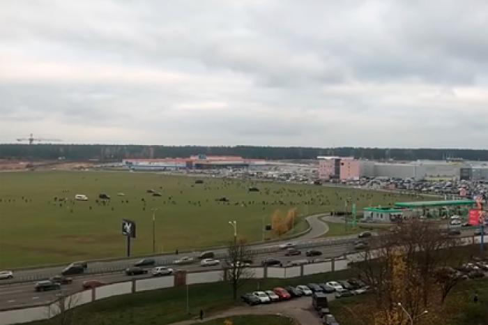 Белорусские силовики устроили сафари на разгоне митинга