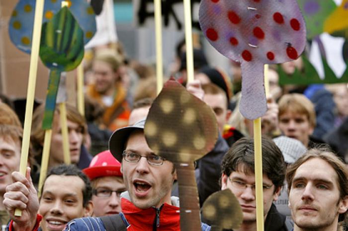 Галлюциногенные грибы декриминализовали в Вашингтоне