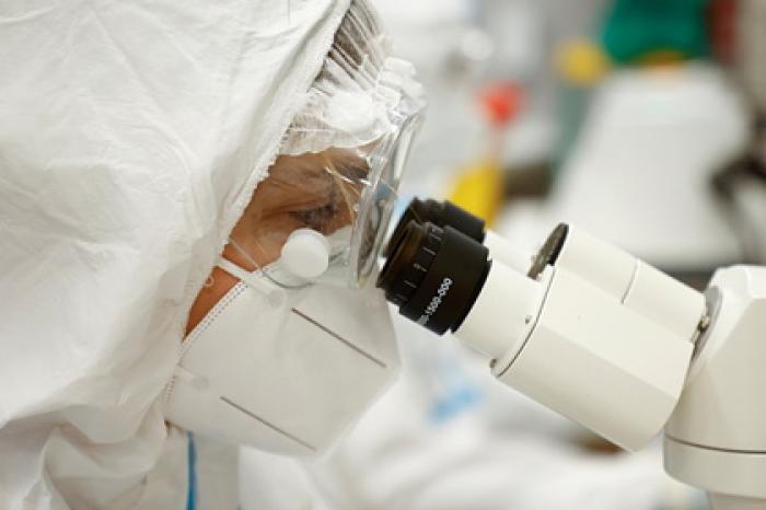 Глава «Вектора» сравнил скорость мутирования коронавируса и гриппа