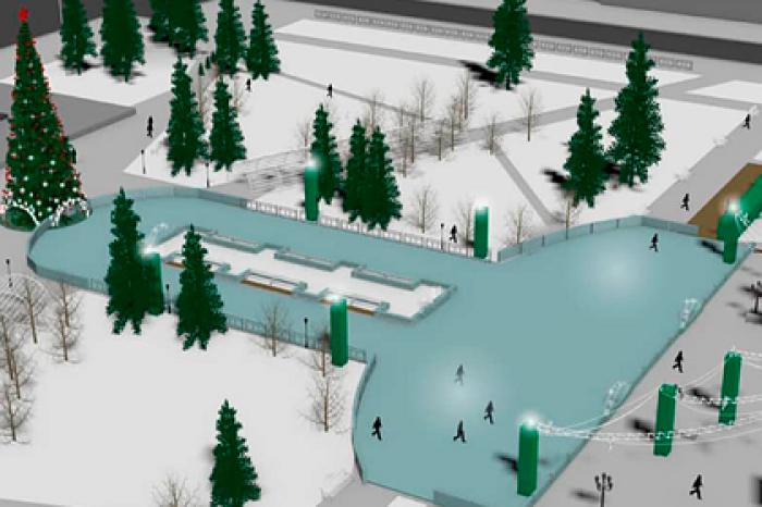 Мэр российского города объяснил создание катка в форме пениса