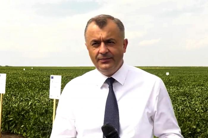 Mesajul Prim-ministrului Ion Chicu cu ocazia Zilei lucrătorului din agricultură şi industria prelucrătoare