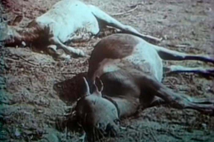 Раскрыты детали секретного ядерного взрыва в небе над советским городом