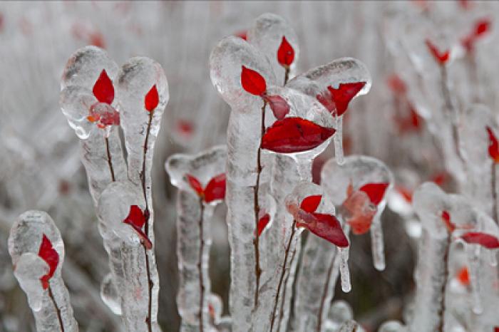 Россиянам пообещали оттепели в декабре