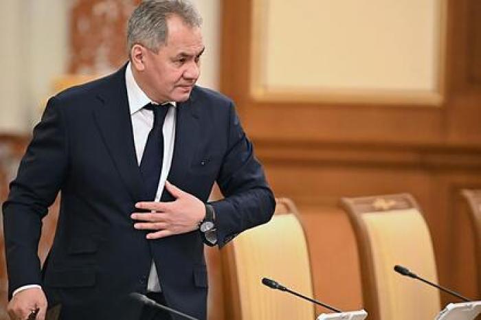 Шойгу сравнил немецкого министра с избалованной школьницей