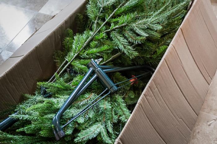 Врач рассказала об опасности новогодней елки