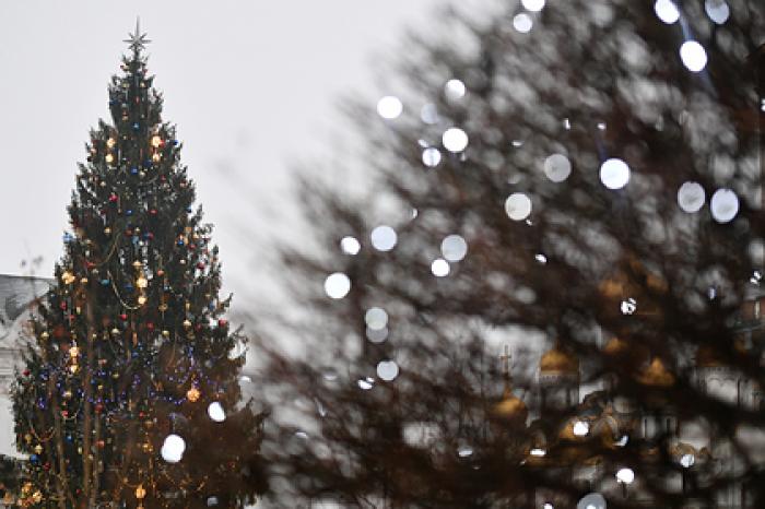 Глав российских регионов призвали объявить 31 декабря выходным