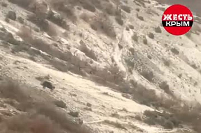 Падение внедорожника с ребенком с обрыва в Крыму сняли на видео
