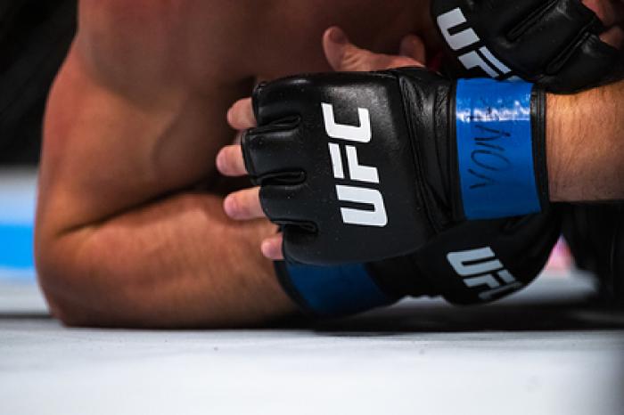 Подсчитано количество зрителей UFC в России
