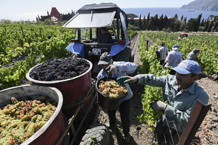 В Крыму ответили на угрозы Киева за продажу «Массандры»