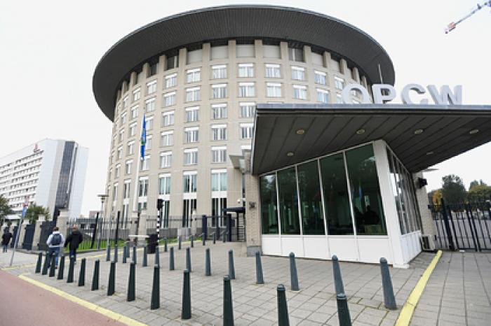 В Москве оценили возможность визита ОЗХО для расследования инцидента с Навальным