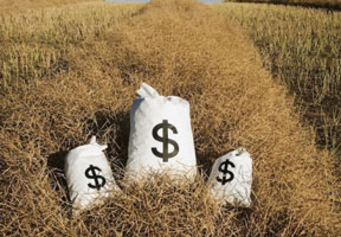 AIPA ВОЗОБНОВИЛО РАССМОТРЕНИЕ ЗАЯВОК НА СУБСИДИИ, ПОДАННЫЕ В 2020 ГОДУ