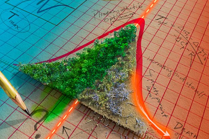 Предсказана фотосинтетическая катастрофа из-за изменения климата