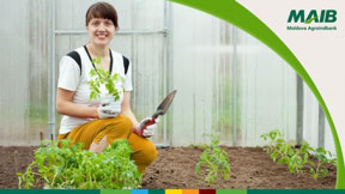 ​ПРИВЛЕКАТЕЛЬНЫЕ КРЕДИТЫ ДЛЯ СЕЛЬХОЗПРОИЗВОДИТЕЛЕЙ ОТ MOLDOVA AGROINDBANK