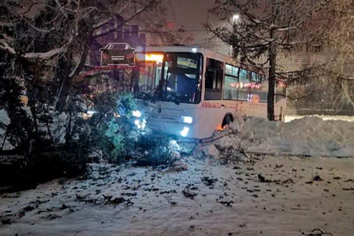 Россияне на ходу выпрыгнули из автобуса из-за потерявшего сознание водителя