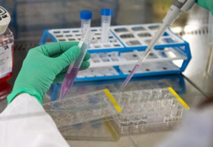 ВО ВТОРНИК В МОЛДОЛВЕ ЗАРЕГИСТРИРОВАНО БОЛЕЕ ТЫСЯЧИ НОВЫХ СЛУЧАЕВ ЗАРАЖЕНИЯ КОРОНАВИРУСОМ