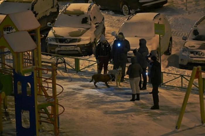 В СПЧ назвали акцию с фонариками в поддержку Навального практически незамеченной