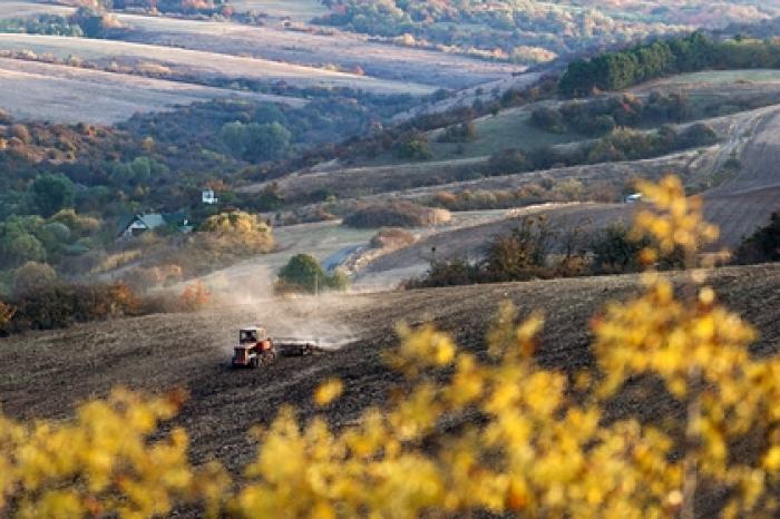 Киев отреагировал на запрет иностранцам владеть землей в Крыму