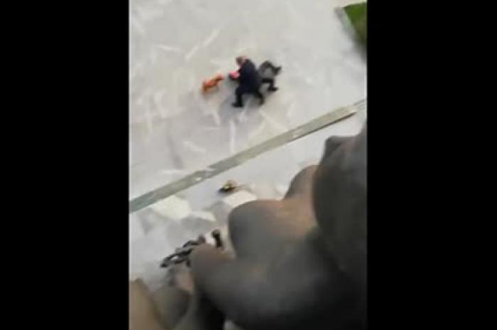 Мужчина с бензопилой и собакой попытался прорваться в парламент Словении