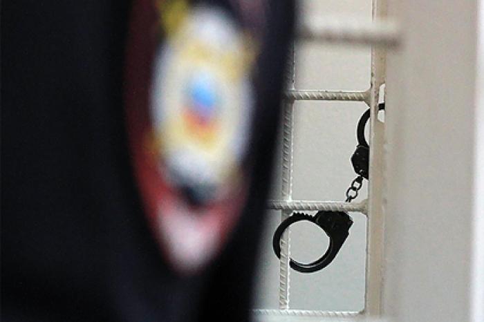 Россиянин получил реальный срок за убийство котенка