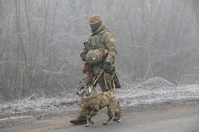 Украина обвинила Россию в планах совершить военную провокацию в Донбассе