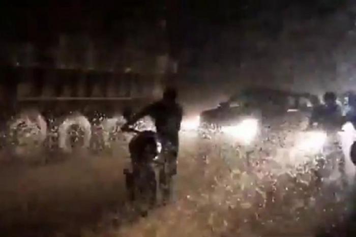Полчища насекомых устроили пробку на шоссе и попали на видео