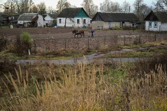 Украинцев призвали прекратить беспокоиться из-за войны и «копать огороды»