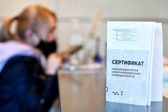 В России предупредили о последствиях введения ковид-паспортов