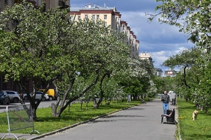 Россиянам пообещали потепление в День Победы