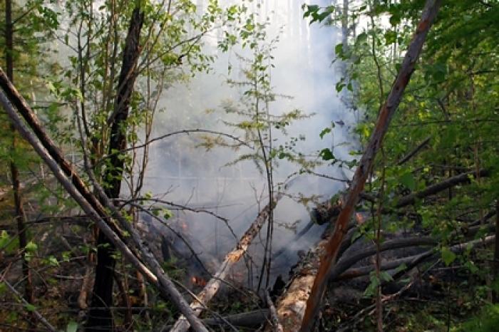Российских школьников привлекли к тушению лесных пожаров