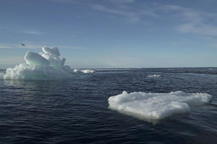 Ученый предупредил о неизбежной катастрофе в Арктике