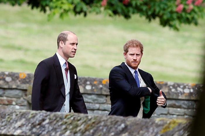 В Британии усомнились в возможности примирения принцев Уильяма и Гарри