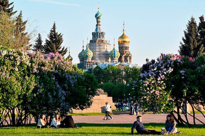 В центре Петербурга жителям отдадут все газоны