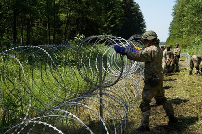 Литва испугалась удара по имиджу из-за колючей проволоки на границе