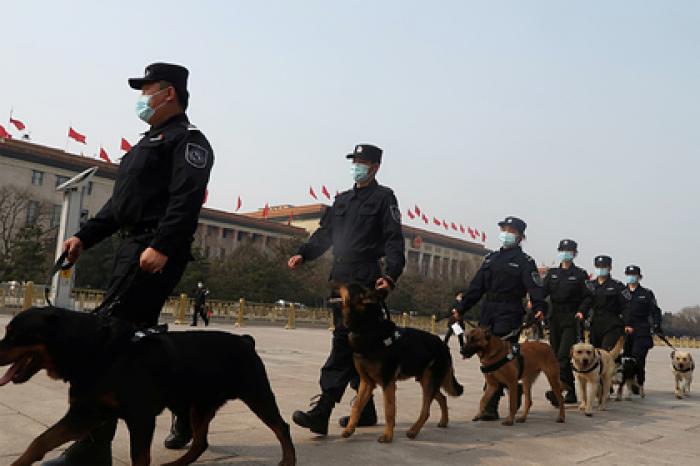 Полиция избавится от чересчур добродушных служебных собак