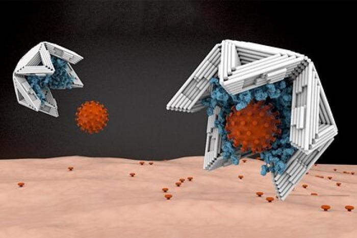 Разработаны захватывающие и нейтрализующие вирусы нанокапсулы
