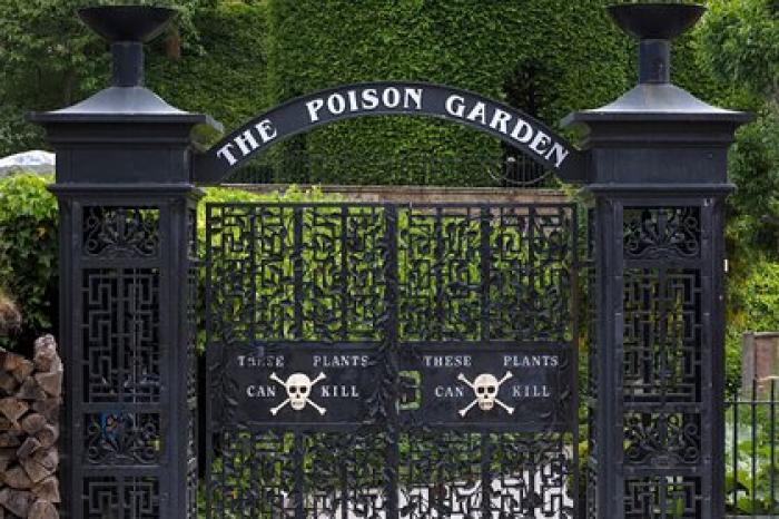 Туристам полюбился «самый смертоносный в мире» сад