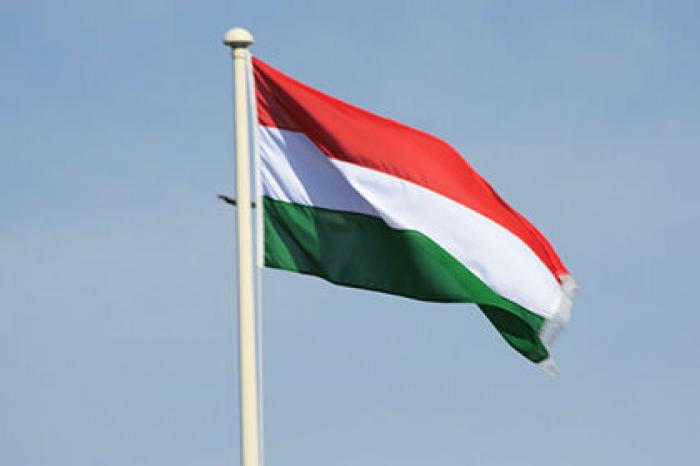 Венгрия выдала России обвиняемого в хищении почти 80 миллионов рублей бизнесмена