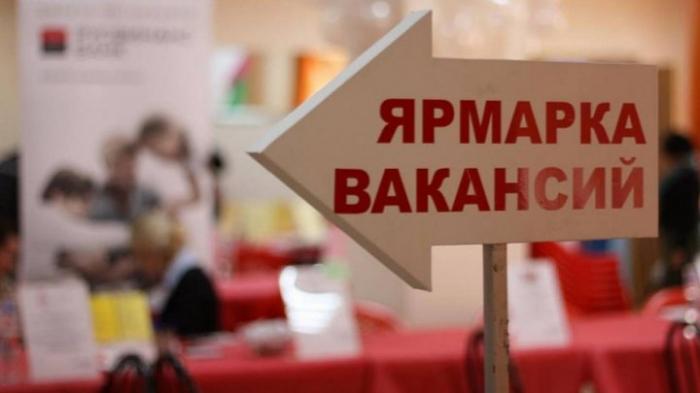 В Национальном дворце имени Николая Сулака проходит ярмарка вакансий: предлагается более трёхсот рабочих мест