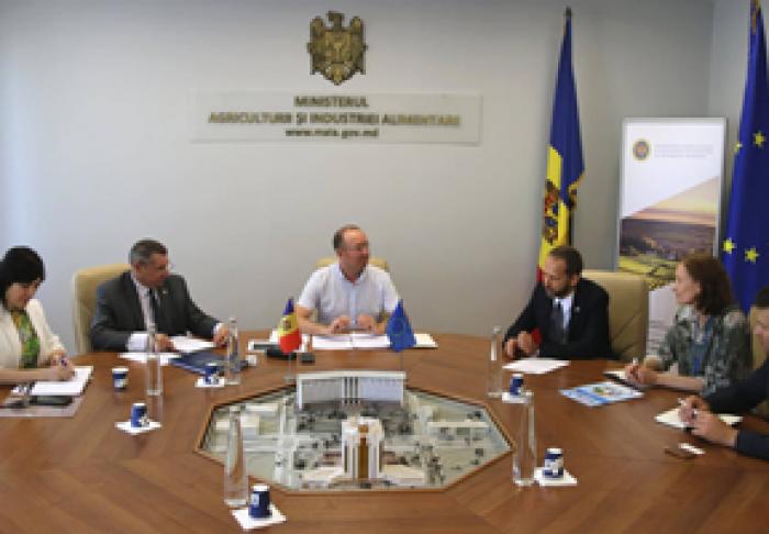 MINISTRUL AGRICULTURII A DISCUTAT CU AMBASADORUL UE DESPRE SECURITATEA ALIMENTARĂ A MOLDOVEI