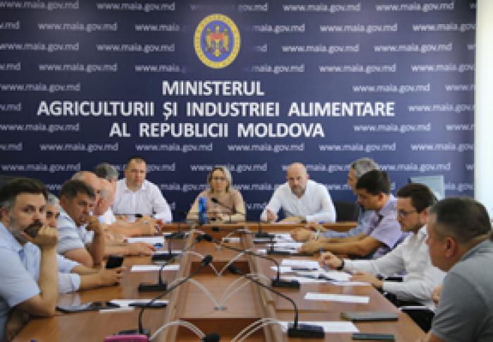 PRODUCĂTORII AGRICOLI CER PREȚURI MAI MARI PENTRU SFECLA DE ZAHĂR