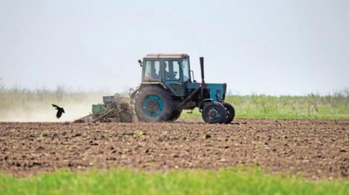 Эксперт: Засушливое лето и тёплая зима могут аукнуться молдавским фермерам