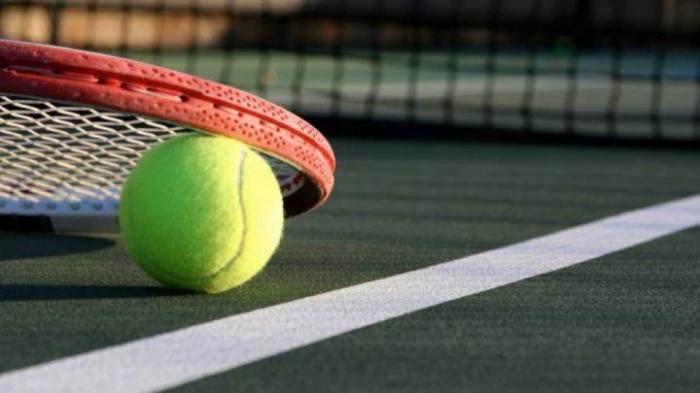 Магда Линетт и Арина Соболенко вышли в полуфинал Australian Open