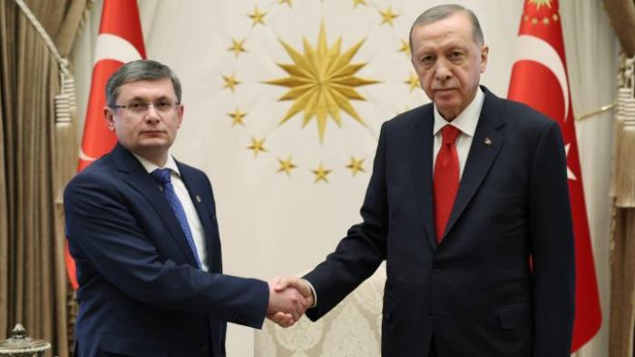 Встреча Гросу и Эрдогана в Анкаре: какие темы обсуждались