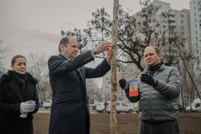 (VIDEO) LA CHIŞINĂU A FOST PLANTATĂ O ALEE ÎN SEMN DE SOLIDARITATE CU OAMENII DIN TURCIA