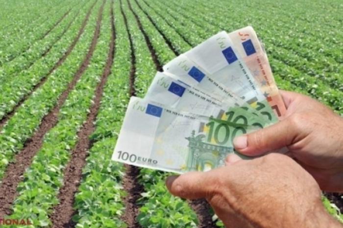 GUVERNUL A APROBAT UN PACHET DE MĂSURI DE SPRIJINIRE A AGRICULTURII