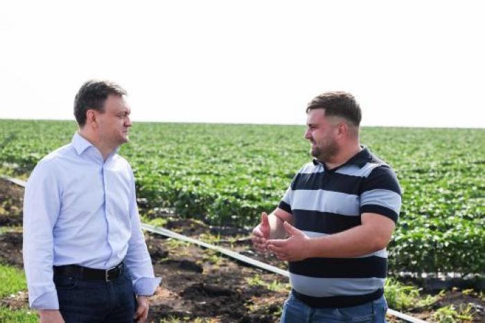 Premierul Dorin Recean a vizitat o afacere agricolă din raionul Florești: „Mă bucur că tinerii antreprenori aleg să-și dezvolte afacerea acasă”